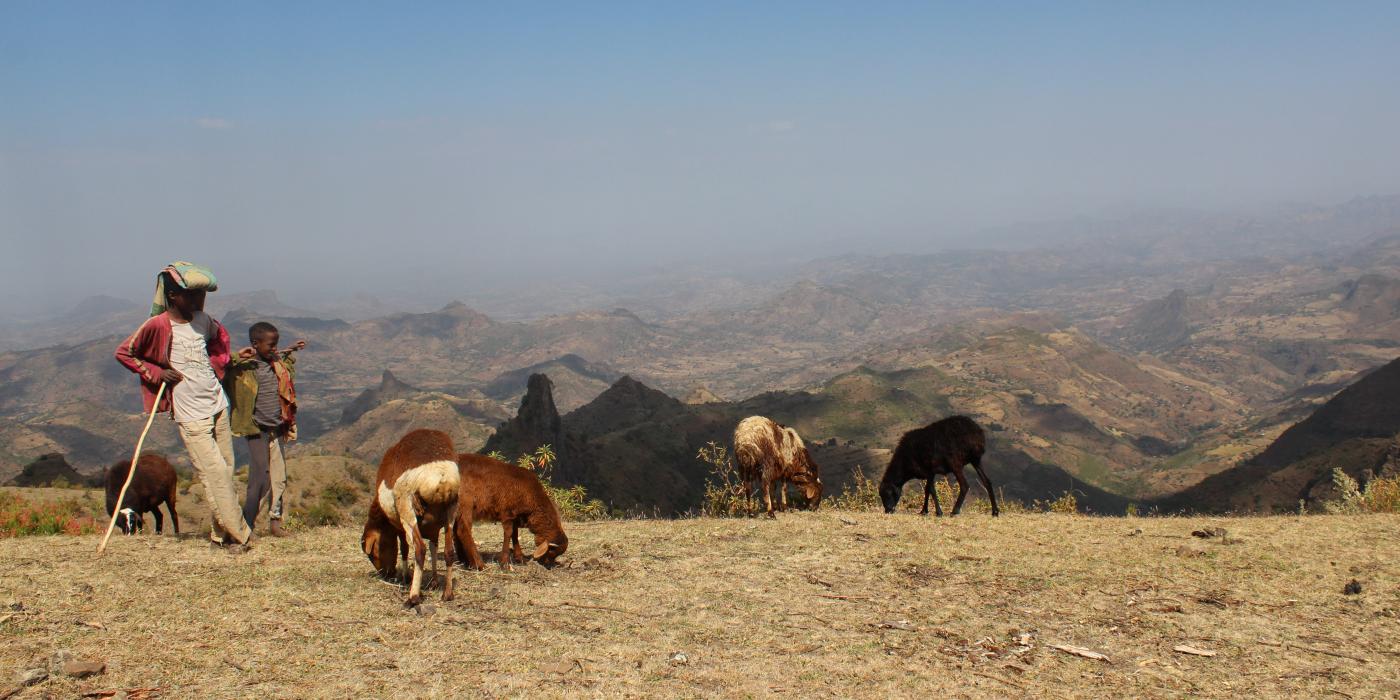 Simien